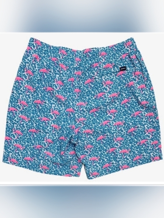chubbies Other - Chubbies the Domingos are for Flamingos swim trunks.